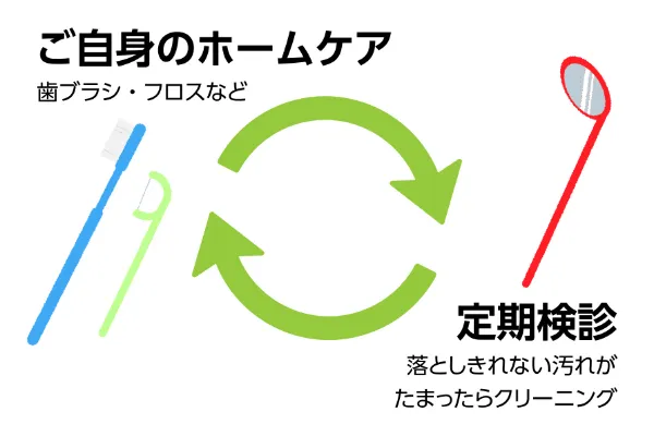 ご自身のホームケア⇔定期検診