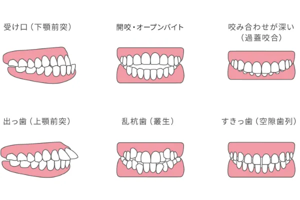 幅広い症例に対応